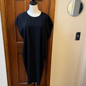 Everlane Dress Size 8